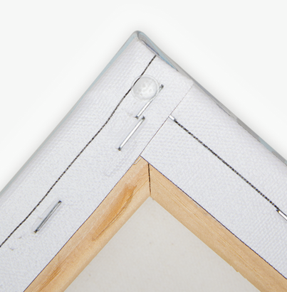 Noirfin - 16 x 12 Ready to Rhinestone Canvas (Canvas Only)